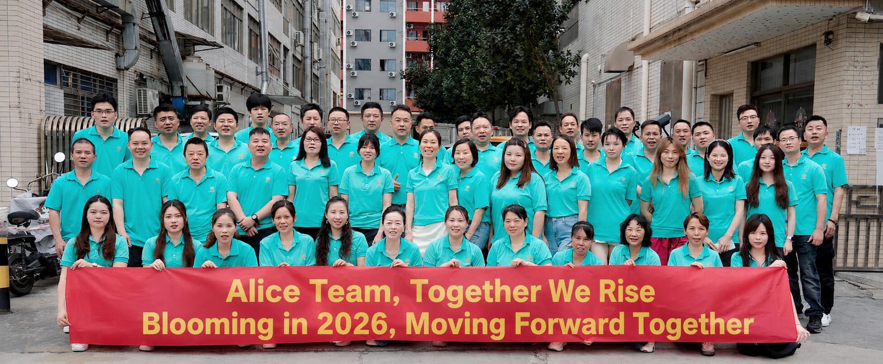 Meet the Team