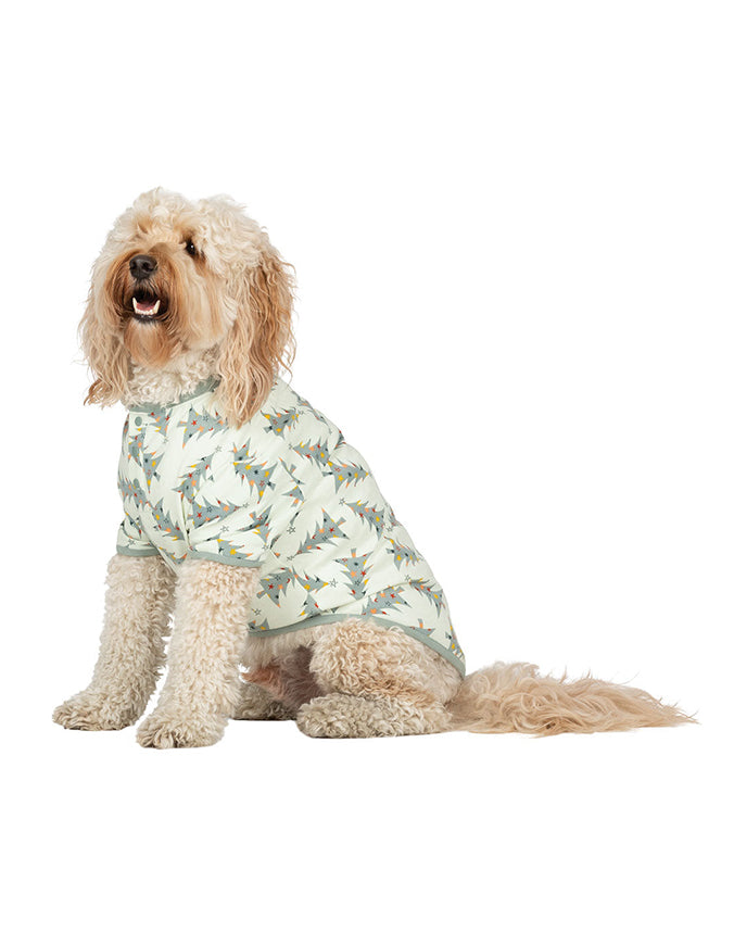 Matching Family & Pet Pajamas-2
